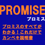 プロミスのすべてがわかる！これだけでカンペキ説明書