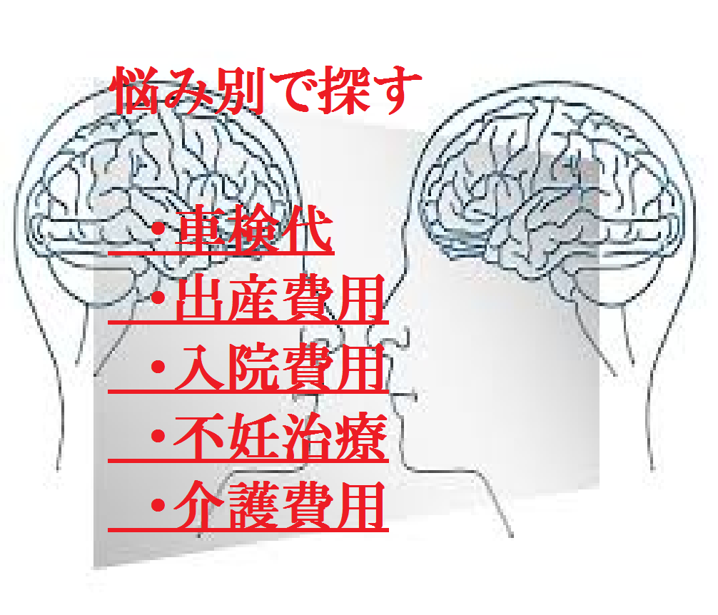 悩み別で探す（車検代、出産費用、入院費用、不妊治療、介護費用）
